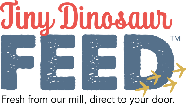 Tiny Dinosaur Feed